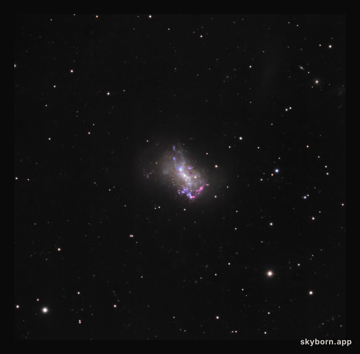 Small Galaxy NGC 4449