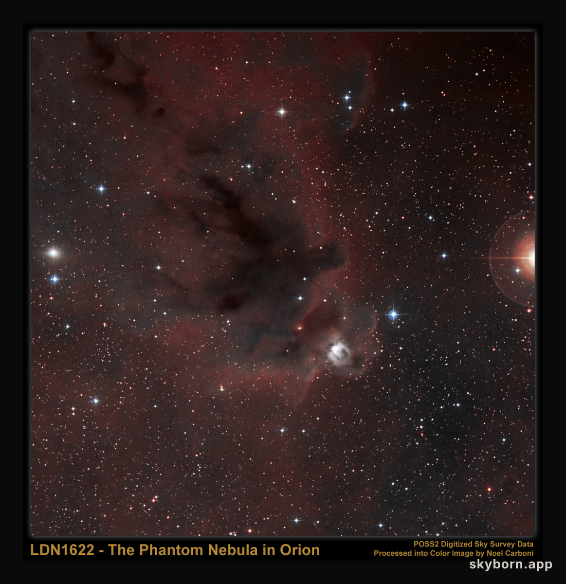 LDN 1622: Dark Nebula in Orion