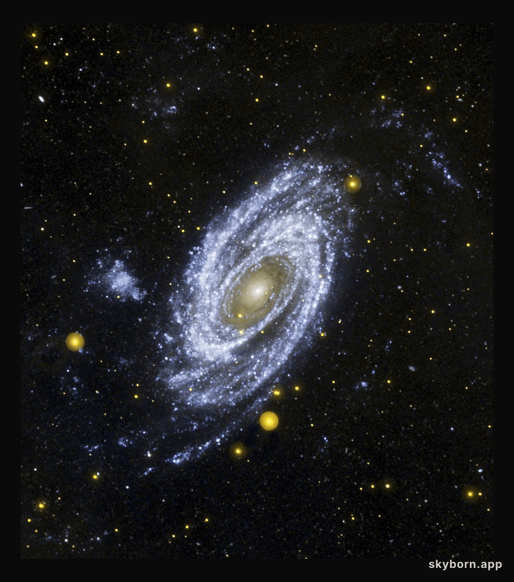 Bright Spiral Galaxy M81 in Ultraviolet from Galex