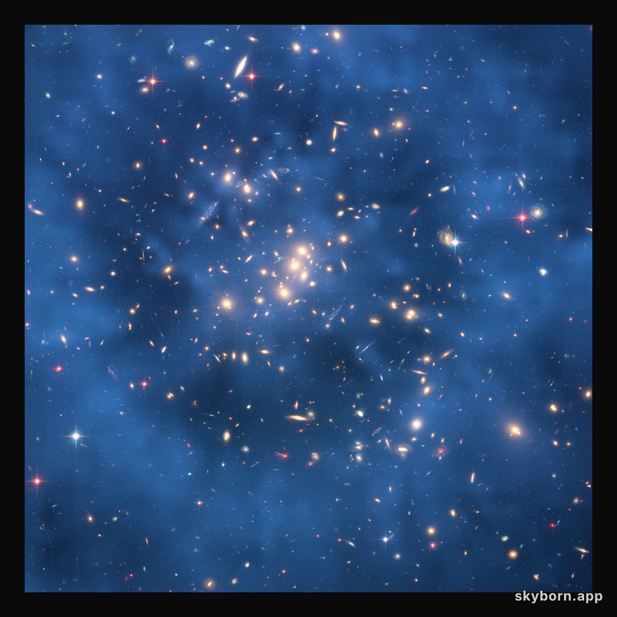 Dark Matter Ring Modeled around Galaxy Cluster CL0024+17