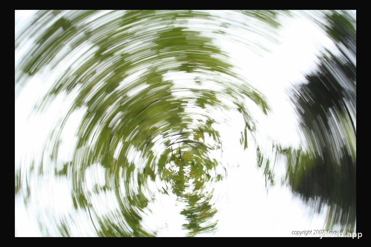 Circum-axial Leaf Trails