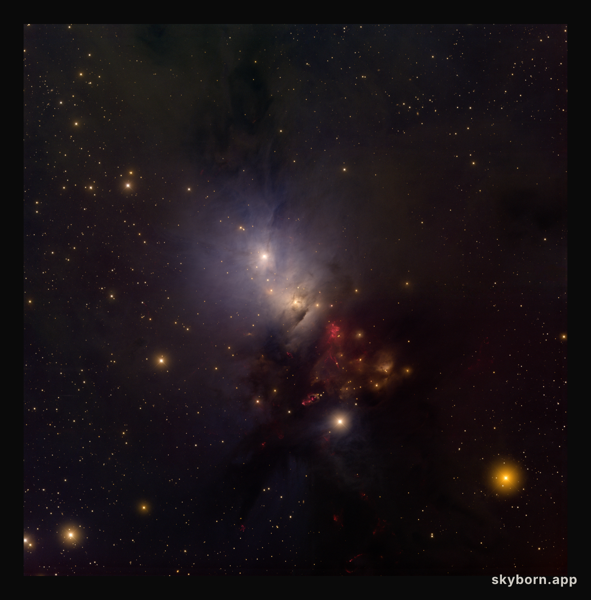 In the Center of Reflection Nebula NGC 1333