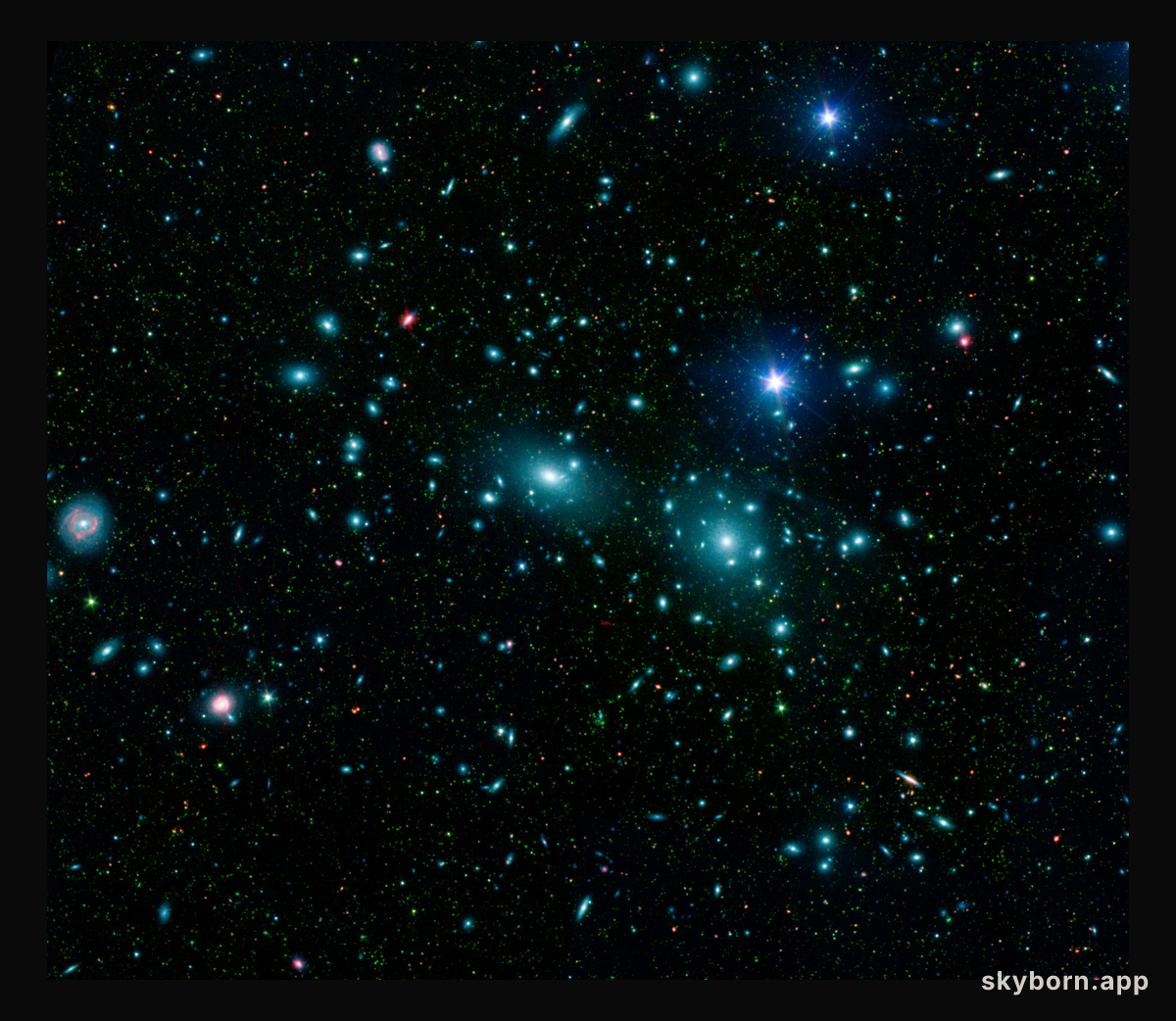 Dwarf Galaxies in the Coma Cluster