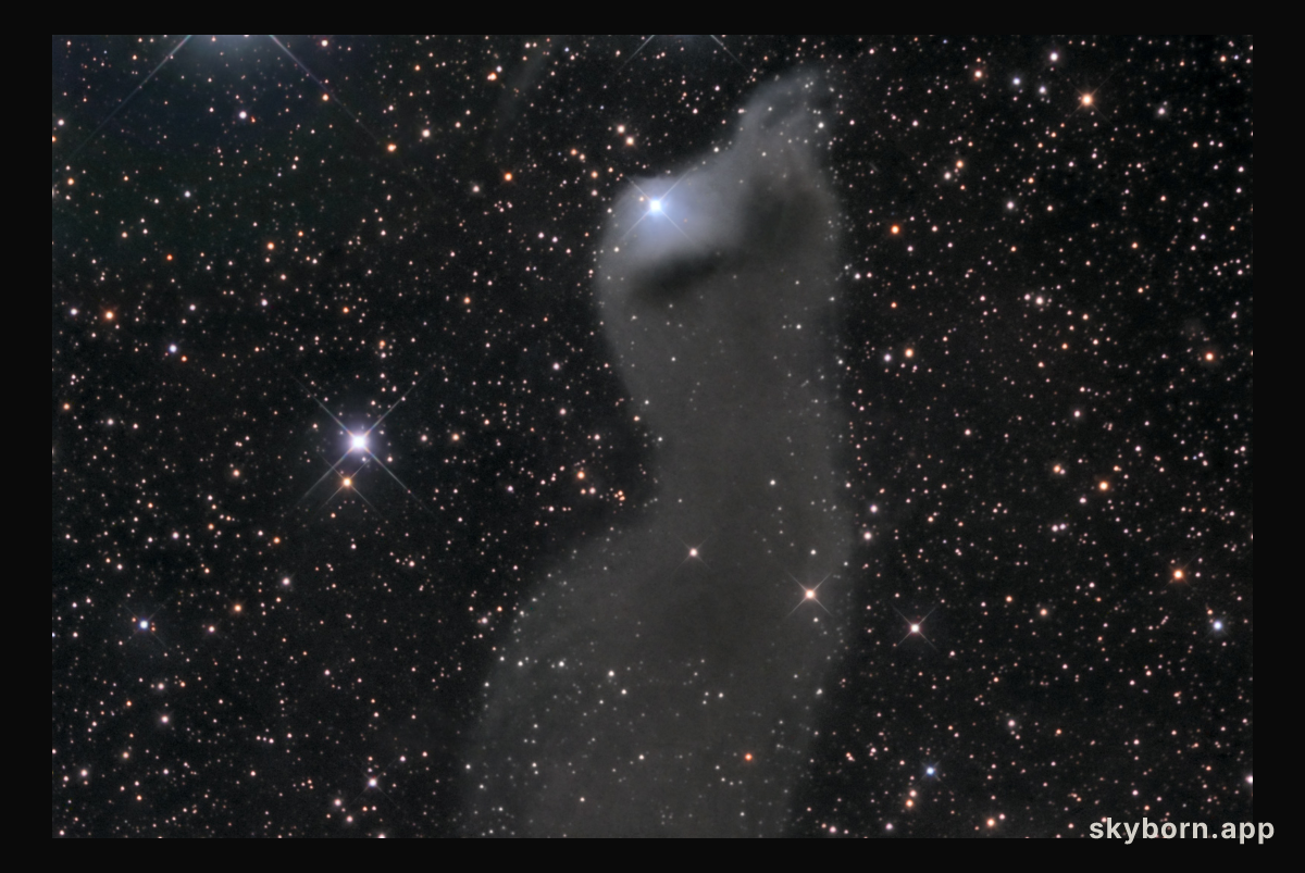 vdB 152: Reflection Nebula in Cepheus