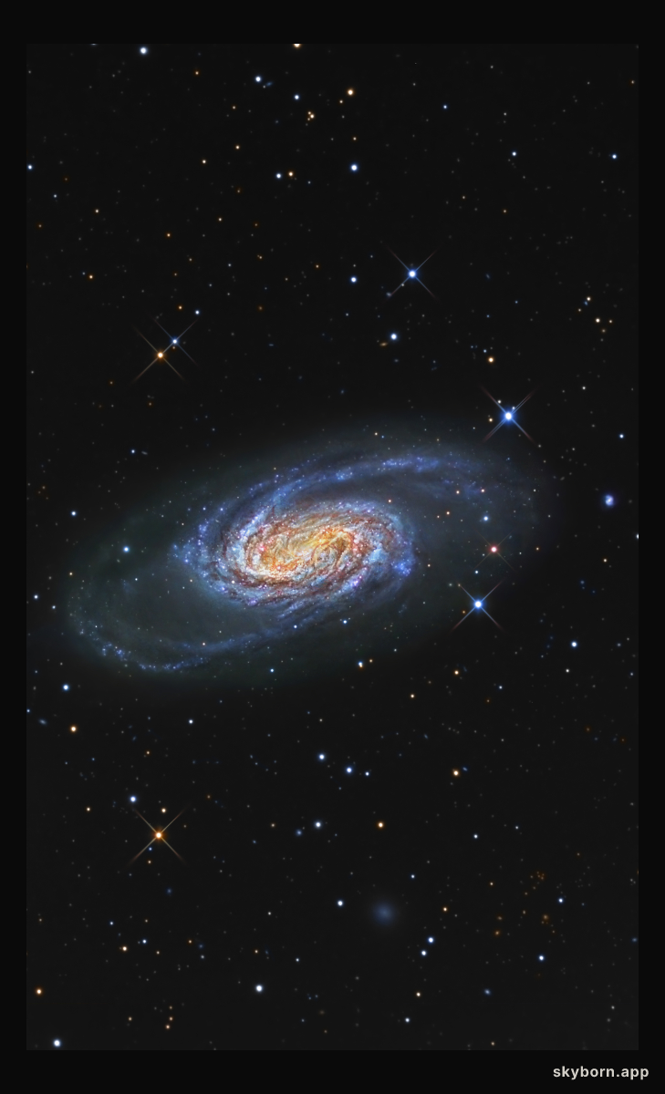 Bright Galaxy NGC 2903