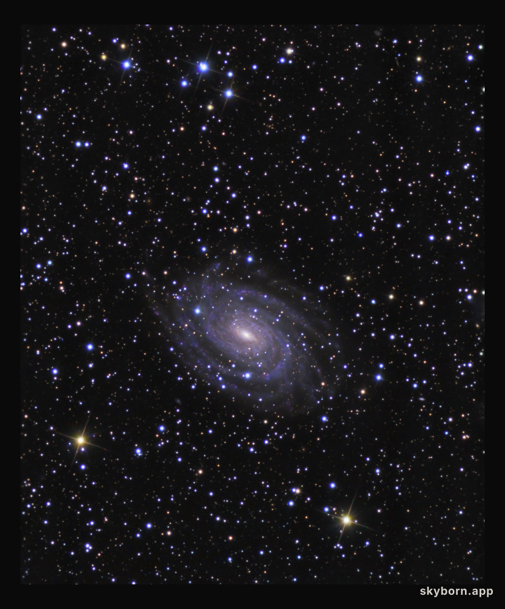 NGC 6384: Beyond the Stars