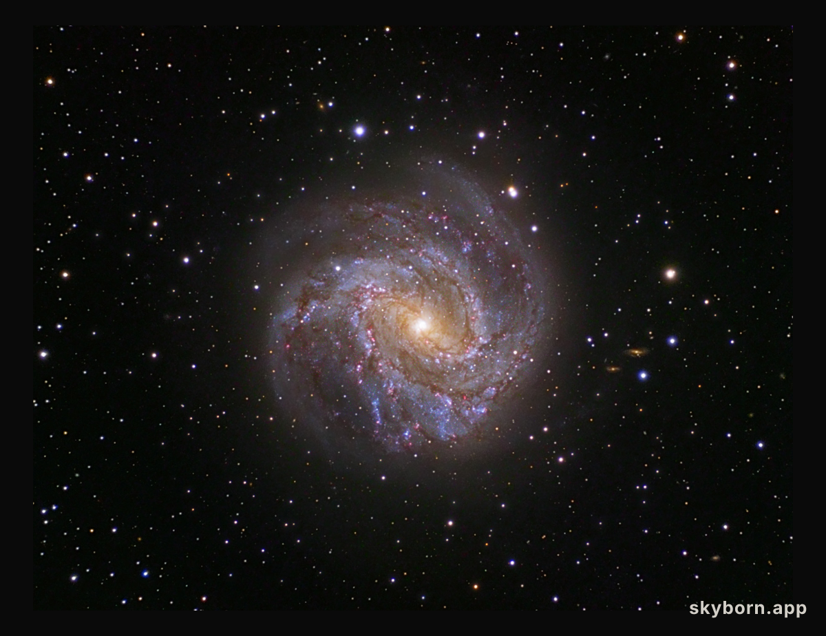 Spiral Galaxy M83: The Southern Pinwheel