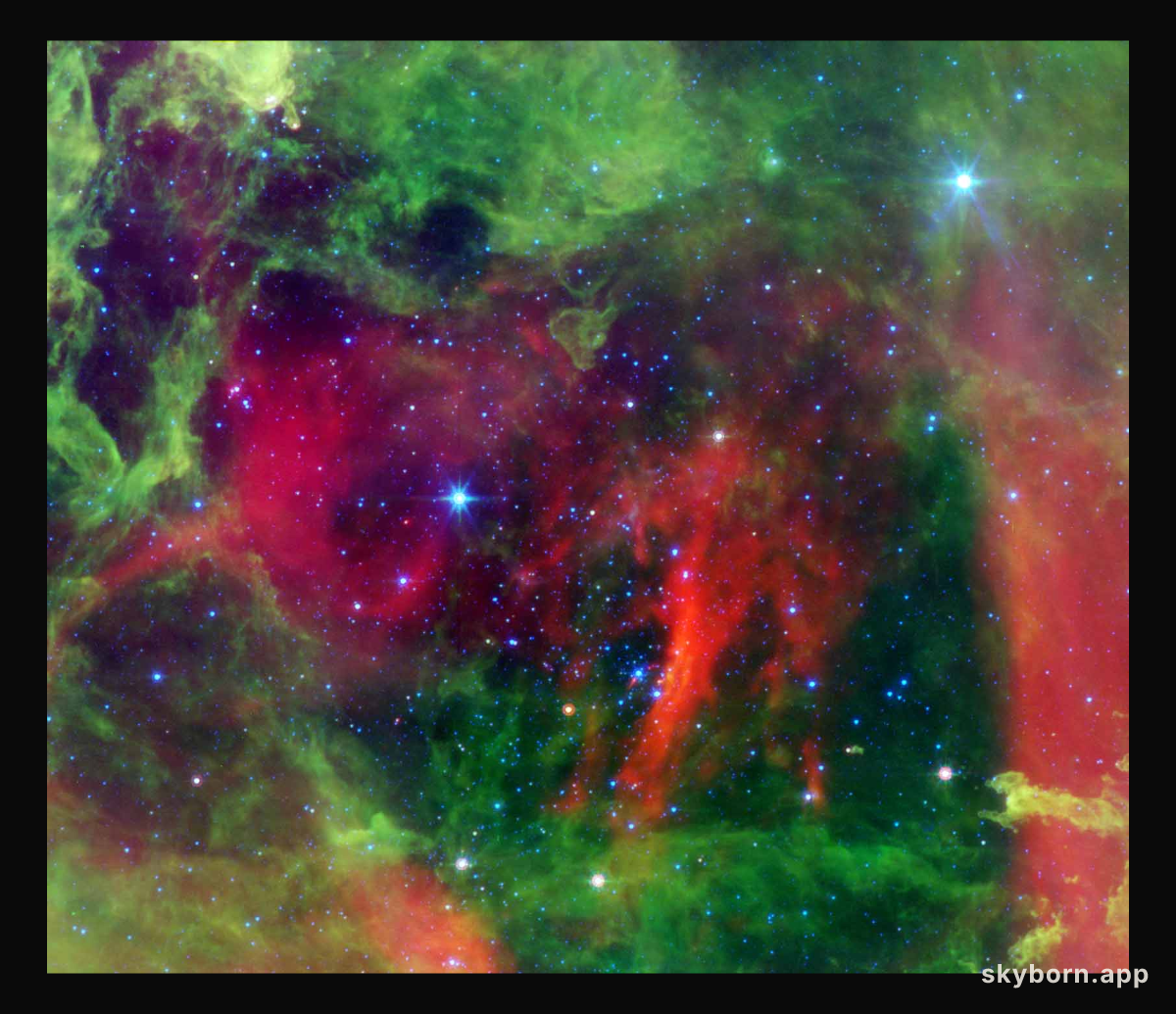 Hot Stars in the Rosette Nebula