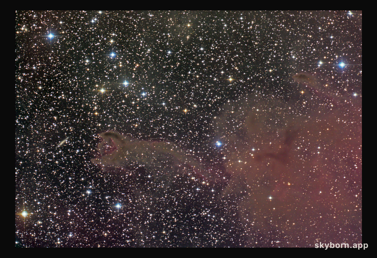 CG4: A Ruptured Cometary Globule