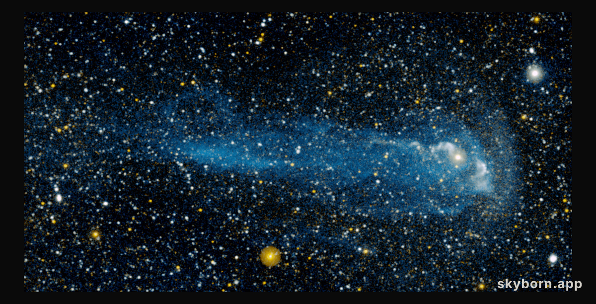 The Tail of a Wonderful Star