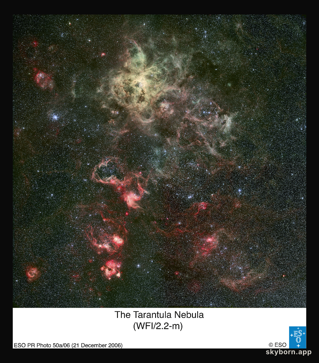 Tentacles of the Tarantula Nebula