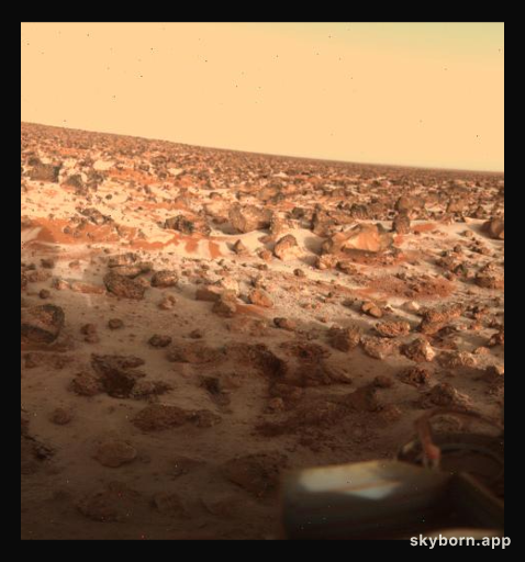 Could Hydrogen Peroxide Life Survive on Mars?