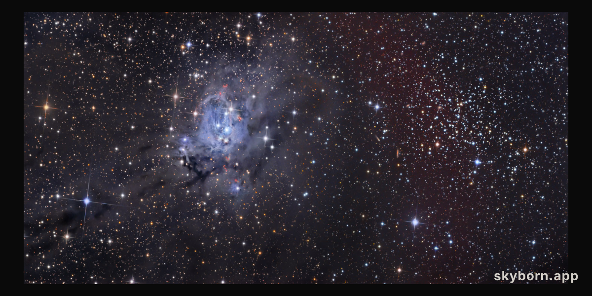 NGC 7129 and NGC 7142