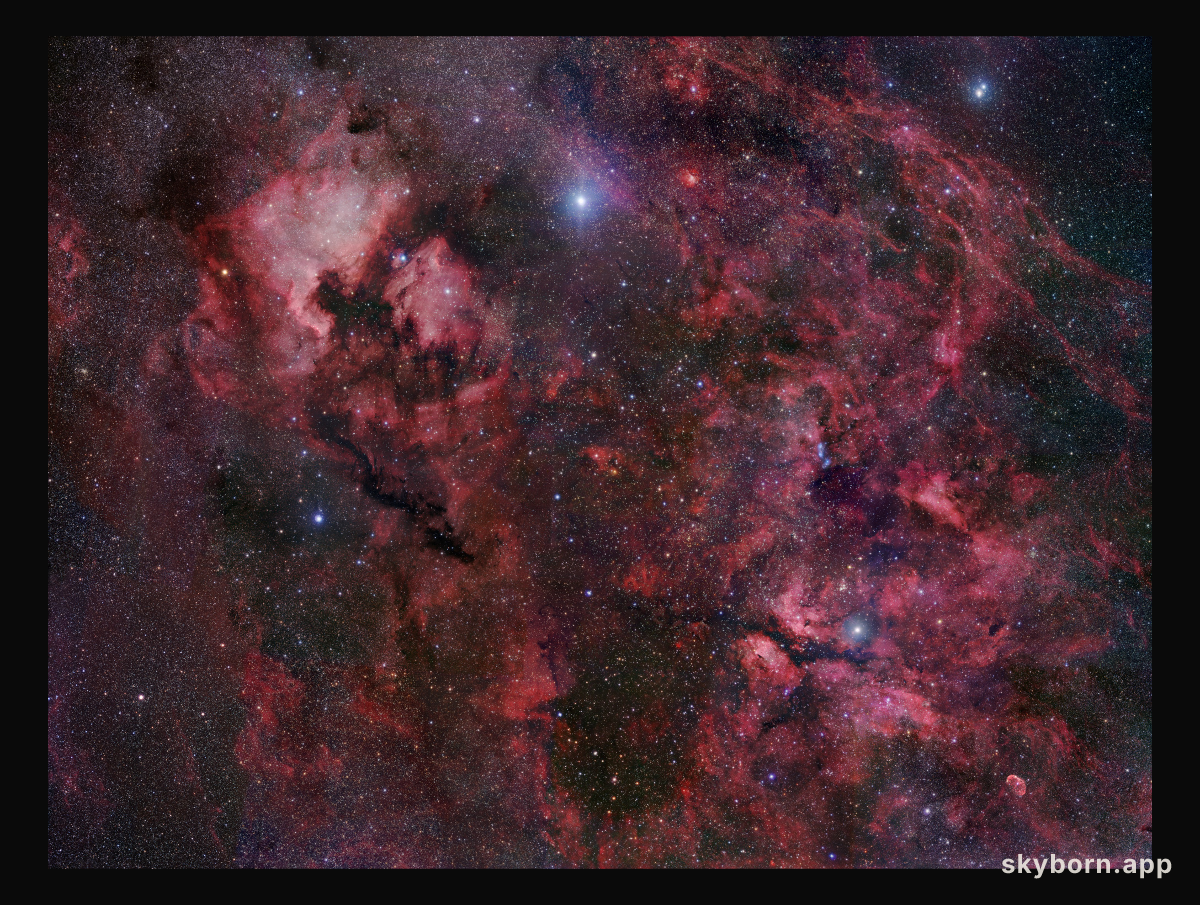 Northern Cygnus