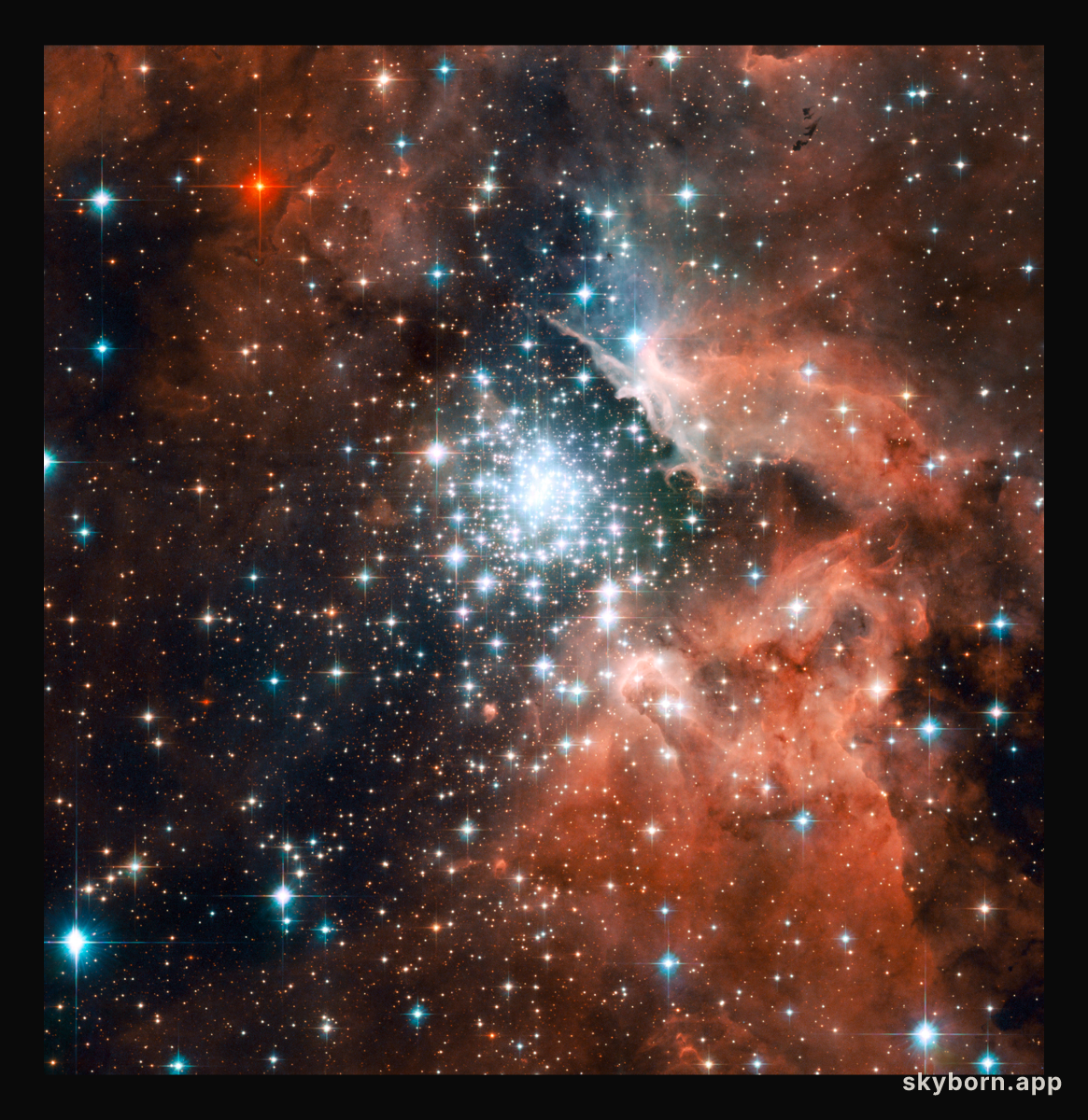 Starburst Cluster in NGC 3603