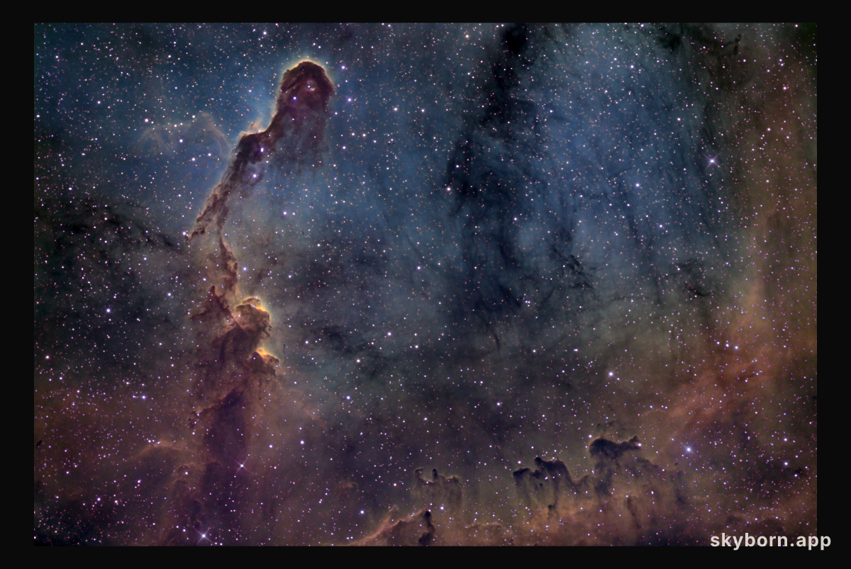 The Elephant's Trunk in IC 1396