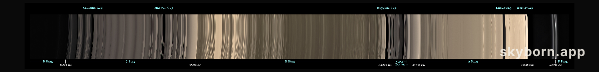 Ring Scan
