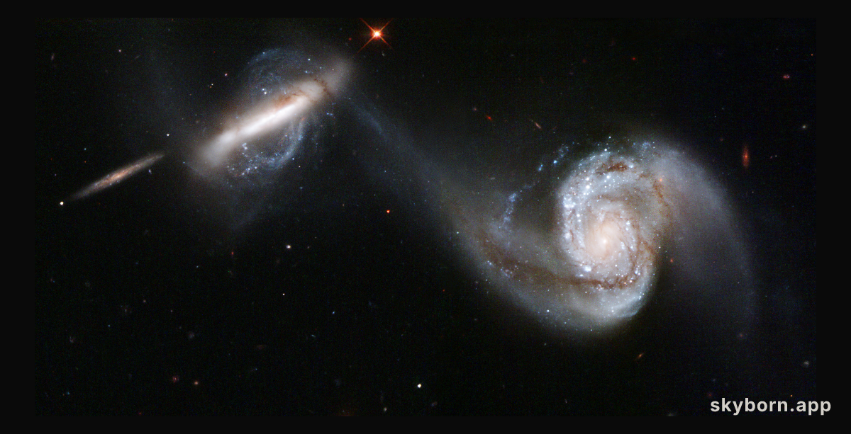 Peculiar Arp 87