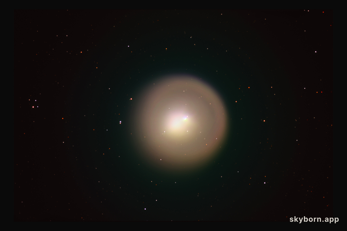 Golden Comet Holmes