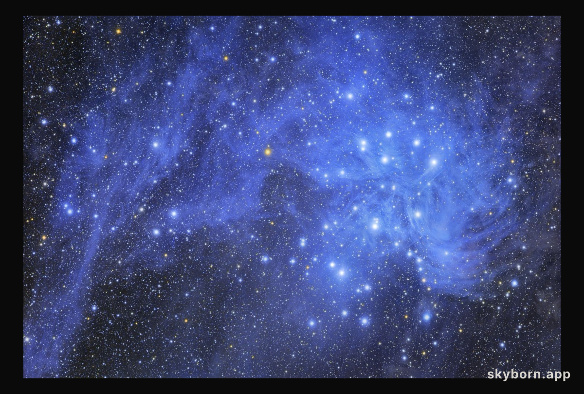 Pleiades and Stardust
