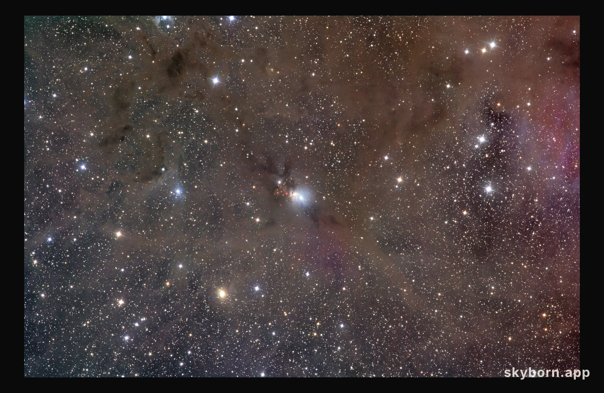 Stardust in Perseus