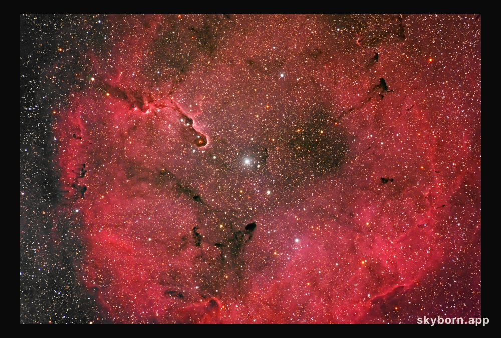 Emission Nebula IC 1396