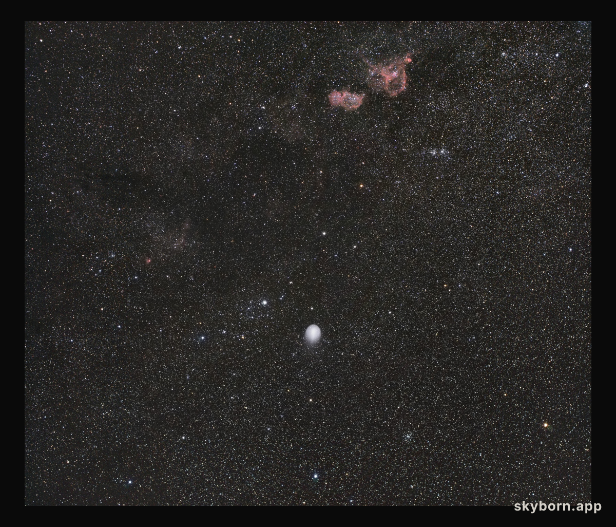 A Year of Spectacular Comets
