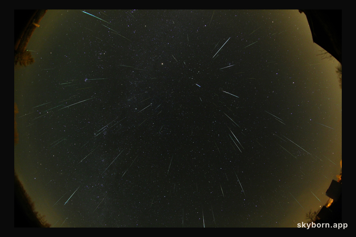 Geminids in 2007