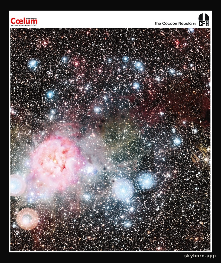 The Cocoon Nebula from CFHT