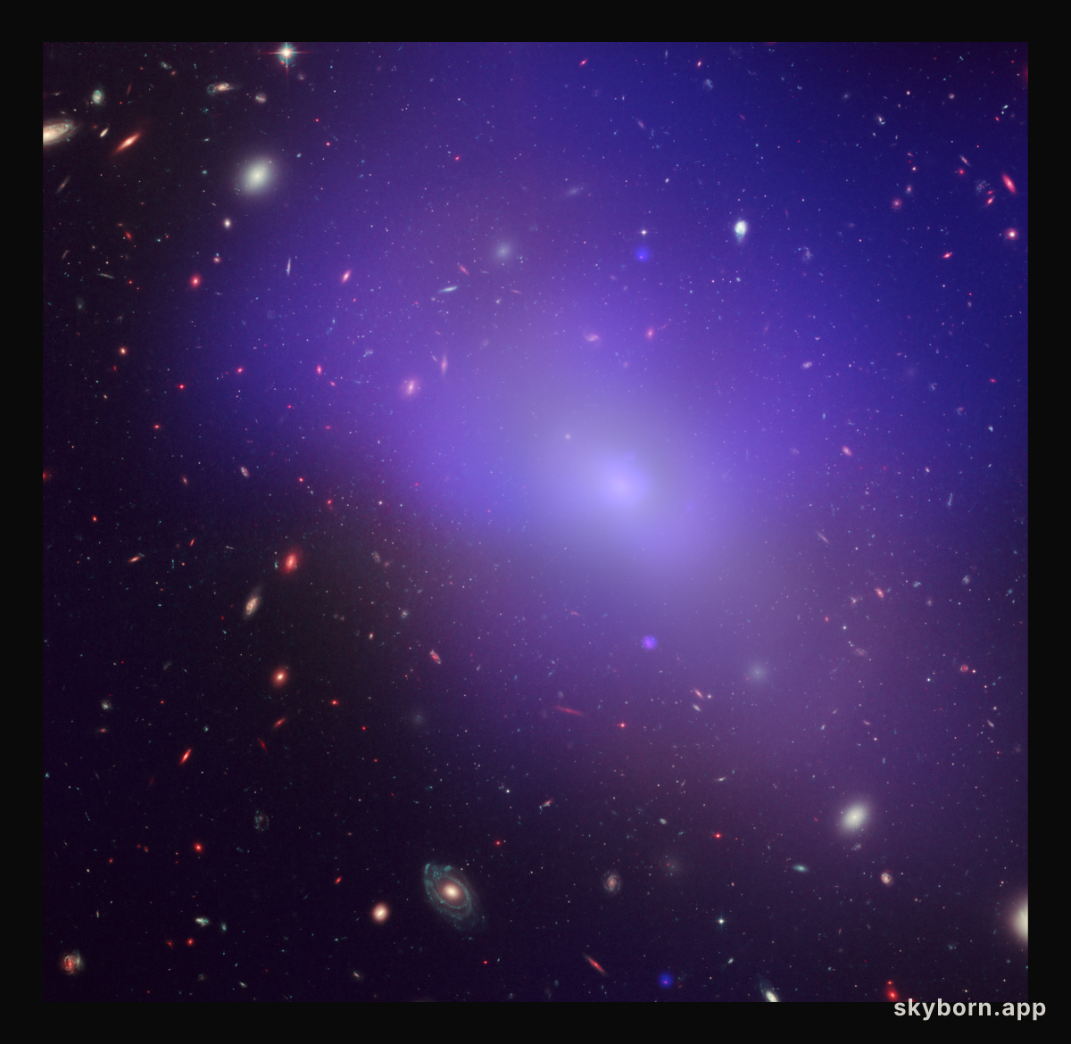 Elliptical Galaxy NGC 1132
