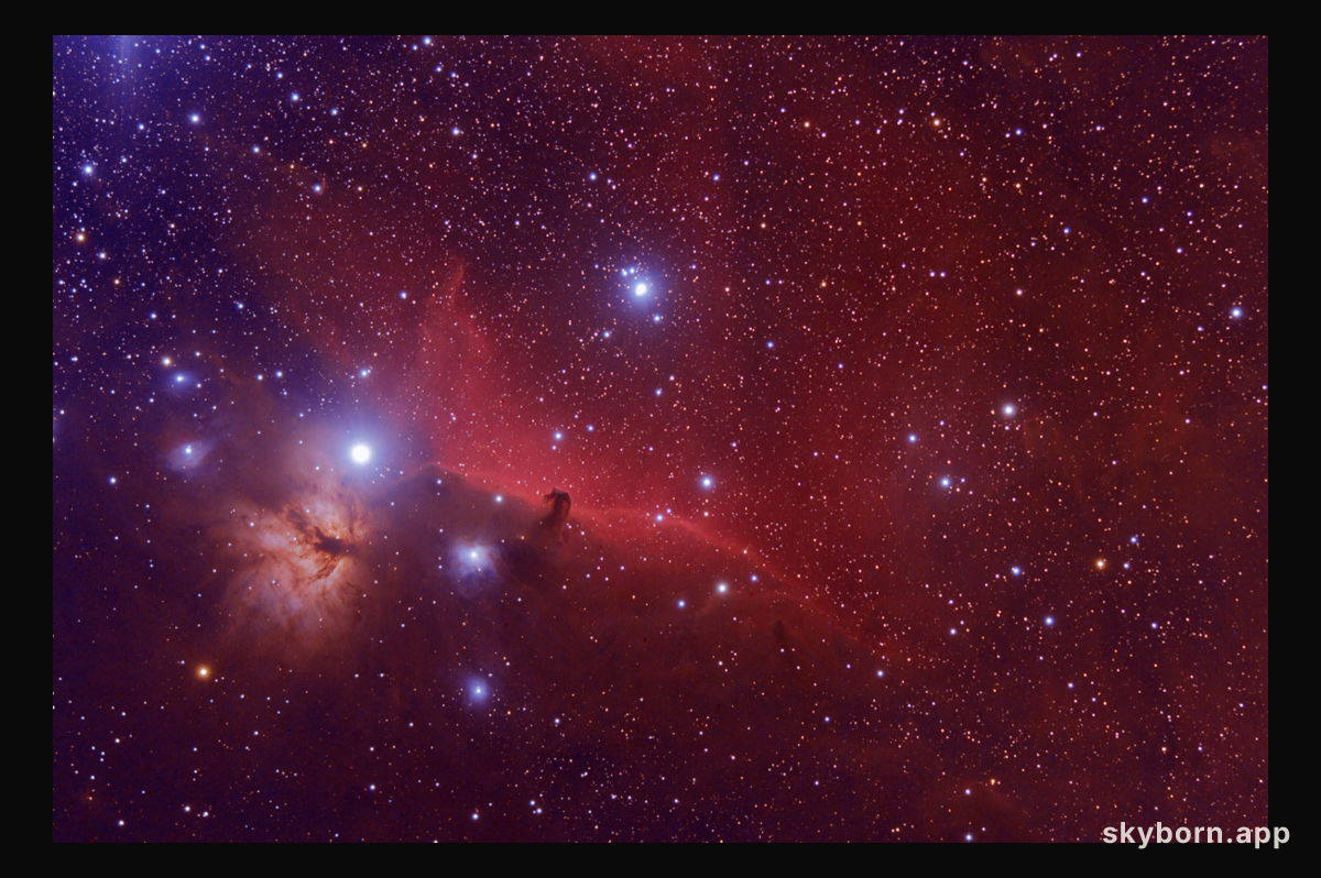 Orion's Horsehead Nebula
