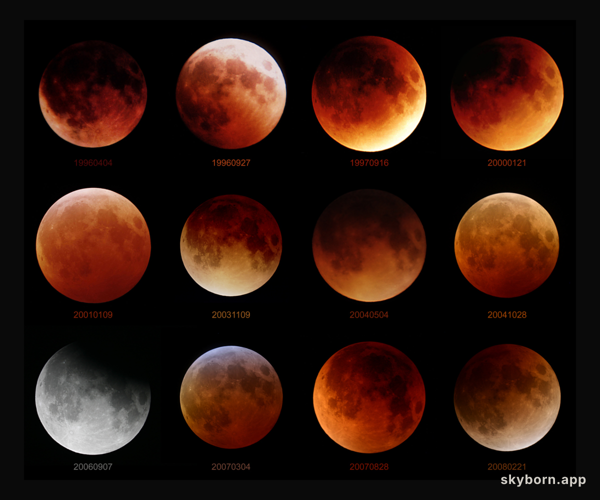 Twelve Lunar Eclipses