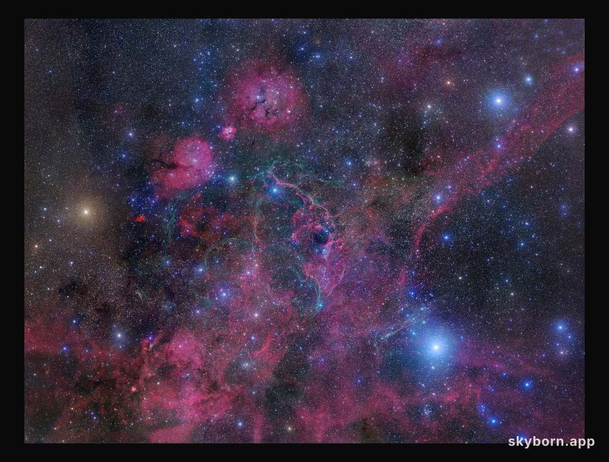 Vela Supernova Remnant