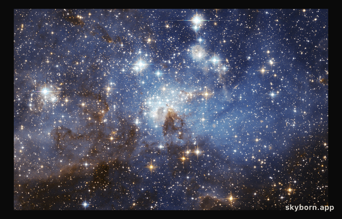 Star Forming Region LH 95
