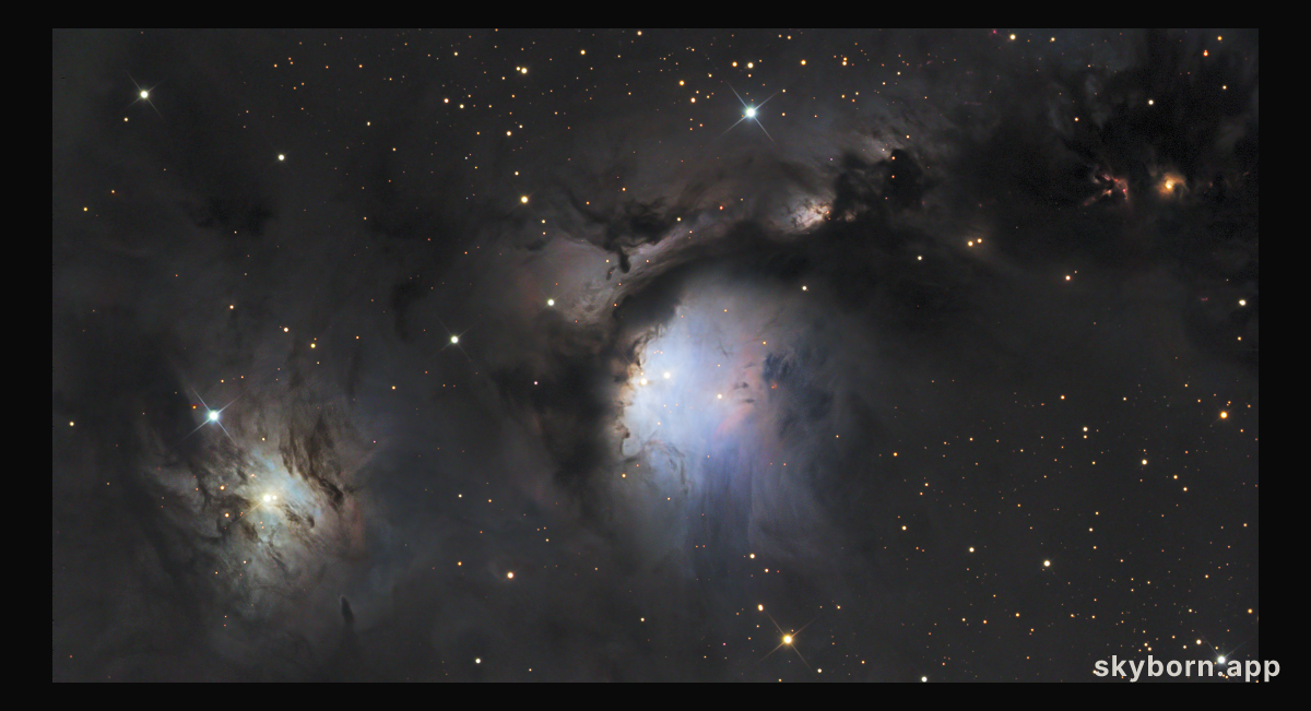 M78 and Reflecting Dust Clouds in Orion