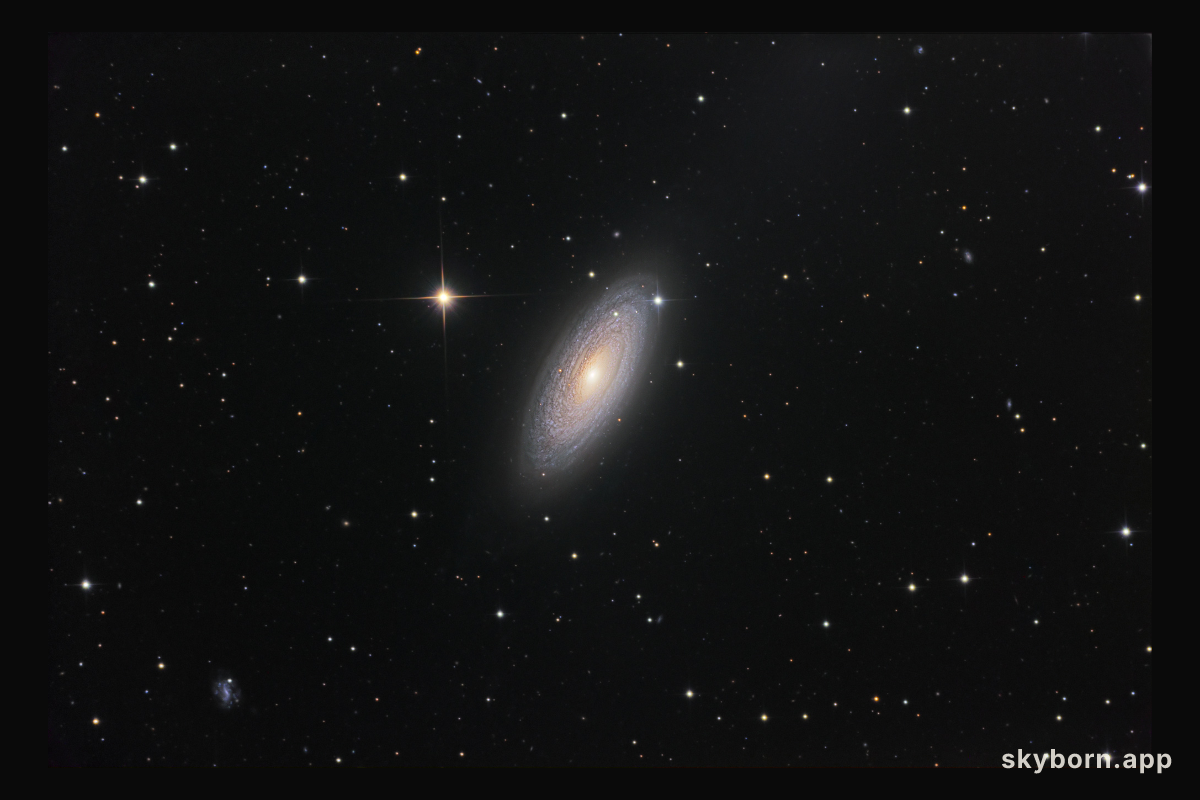 Spiral Galaxy NGC 2841