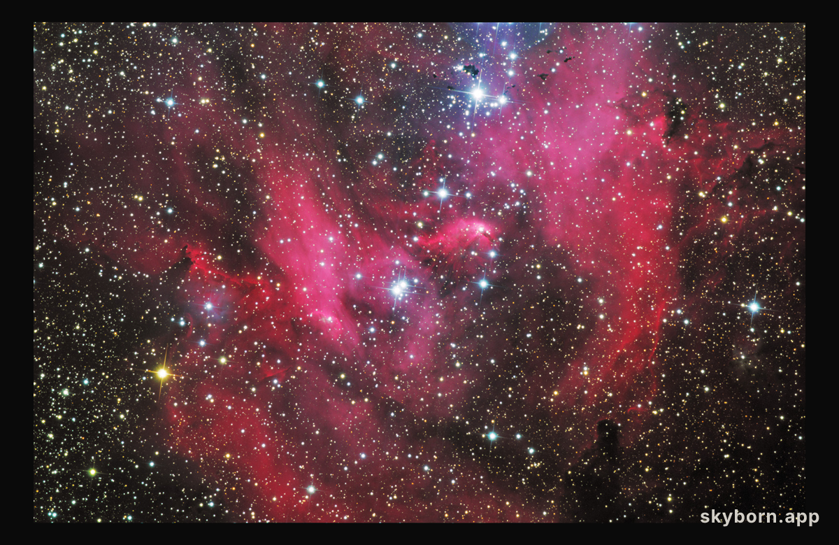 IC 2948: The Running Chicken Nebula