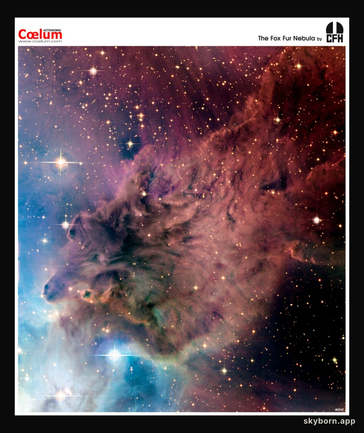 The Fox Fur Nebula from CFHT