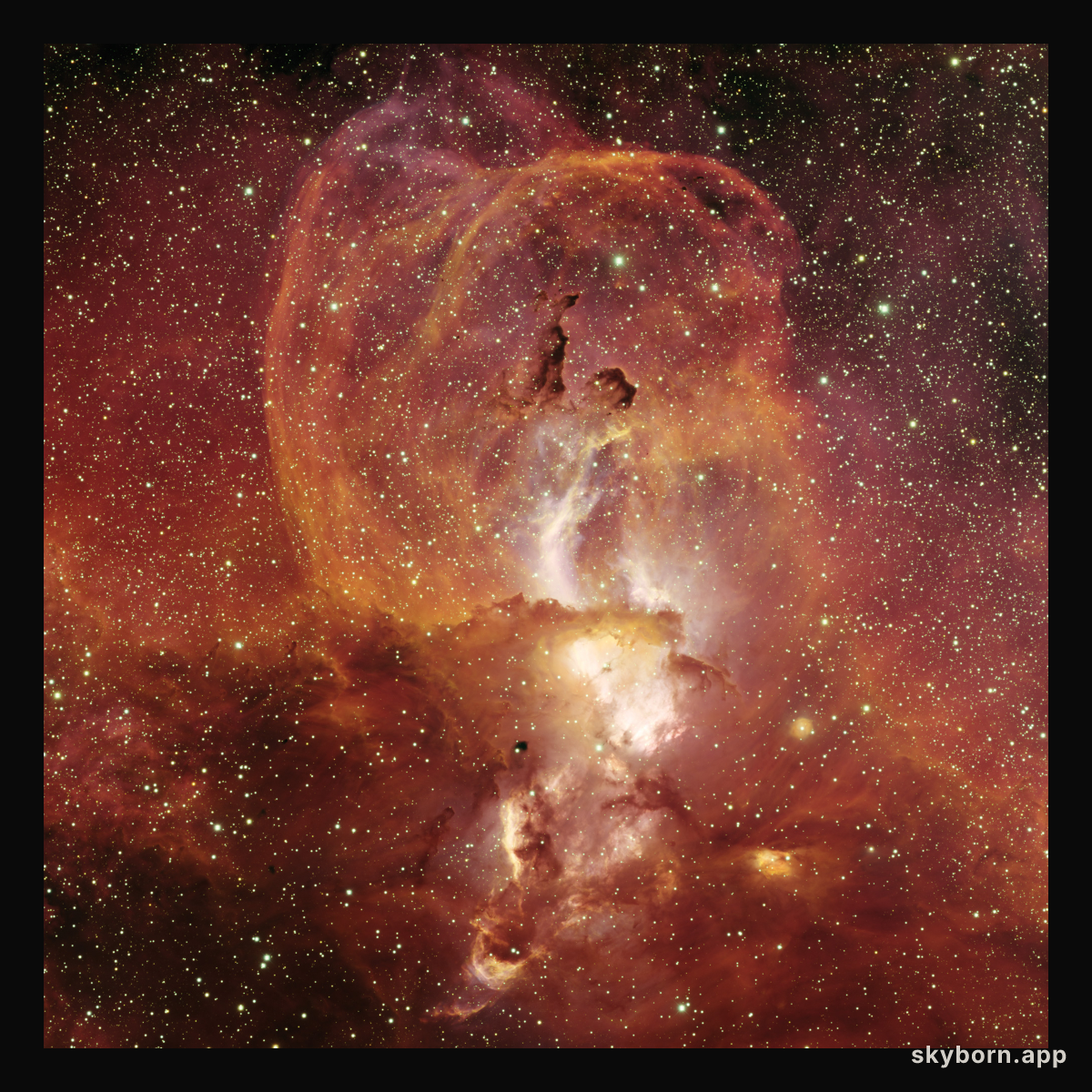 Star Forming Region NGC 3582