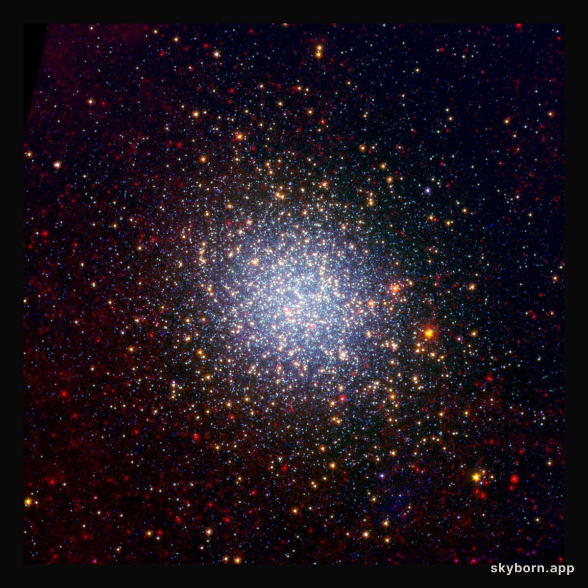 The Giants of Omega Centauri
