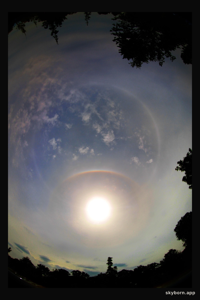 Circles in the Sky