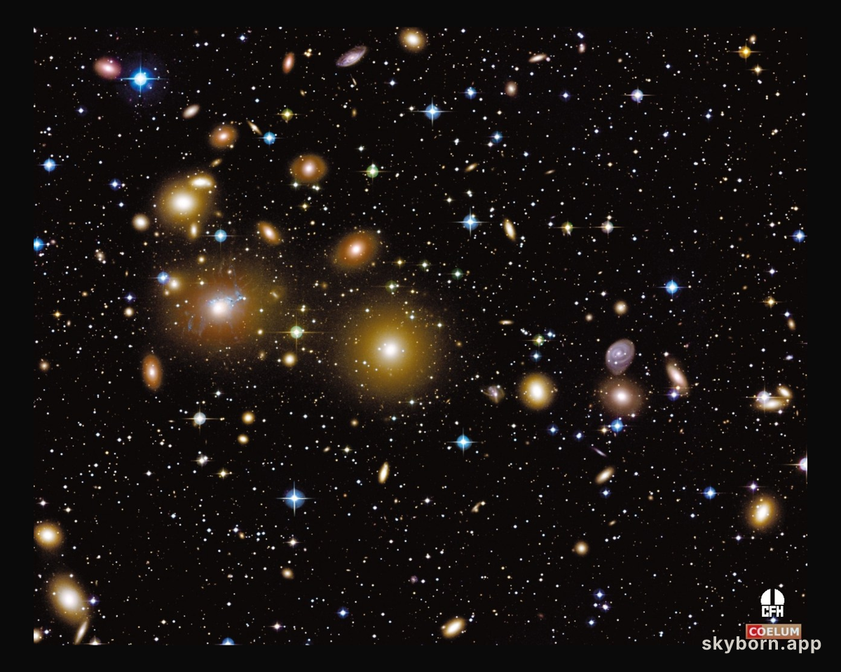 The Perseus Cluster of Galaxies