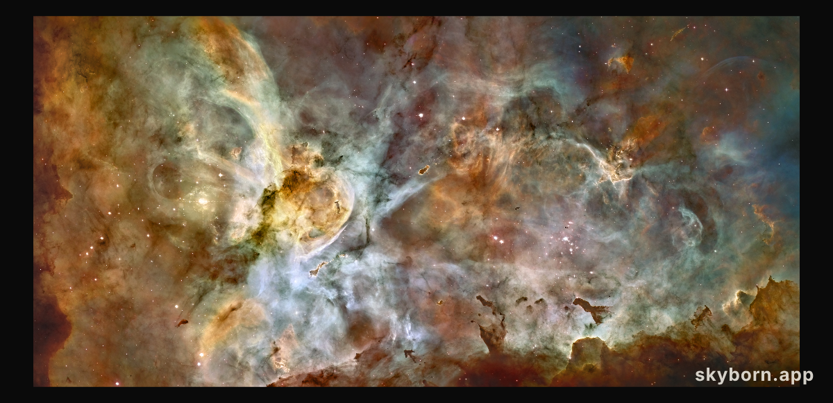 Dark Clouds of the Carina Nebula