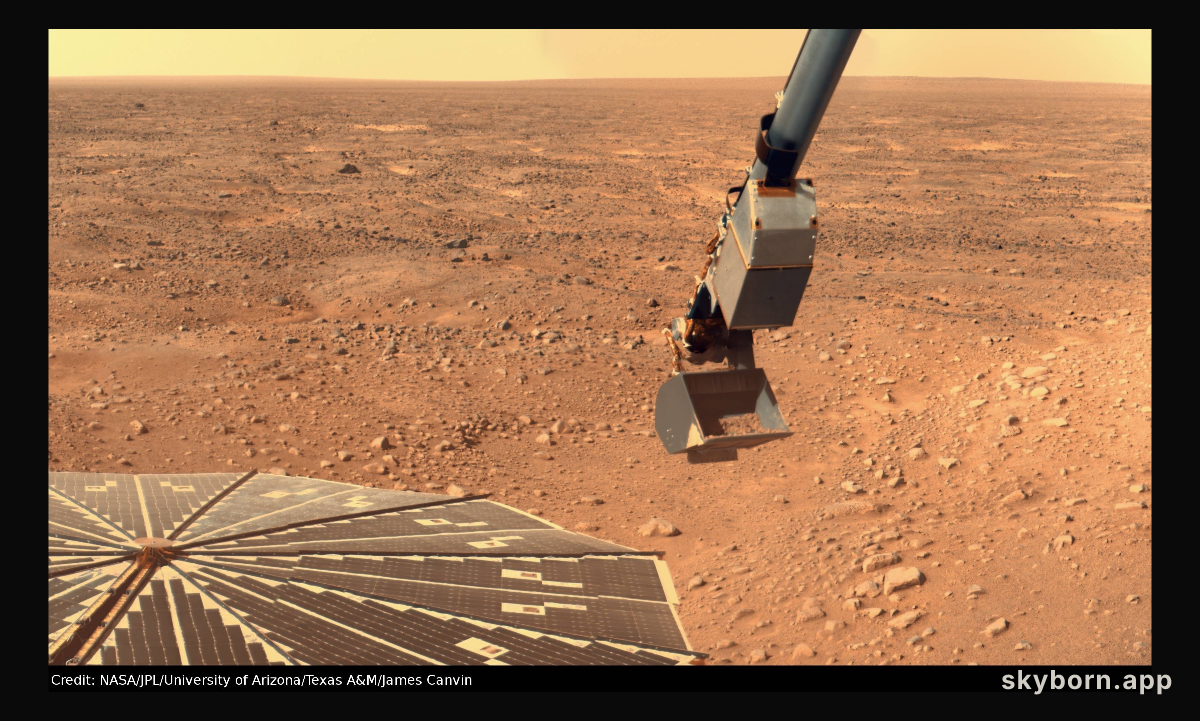 Phoenix Digs for Clues on Mars
