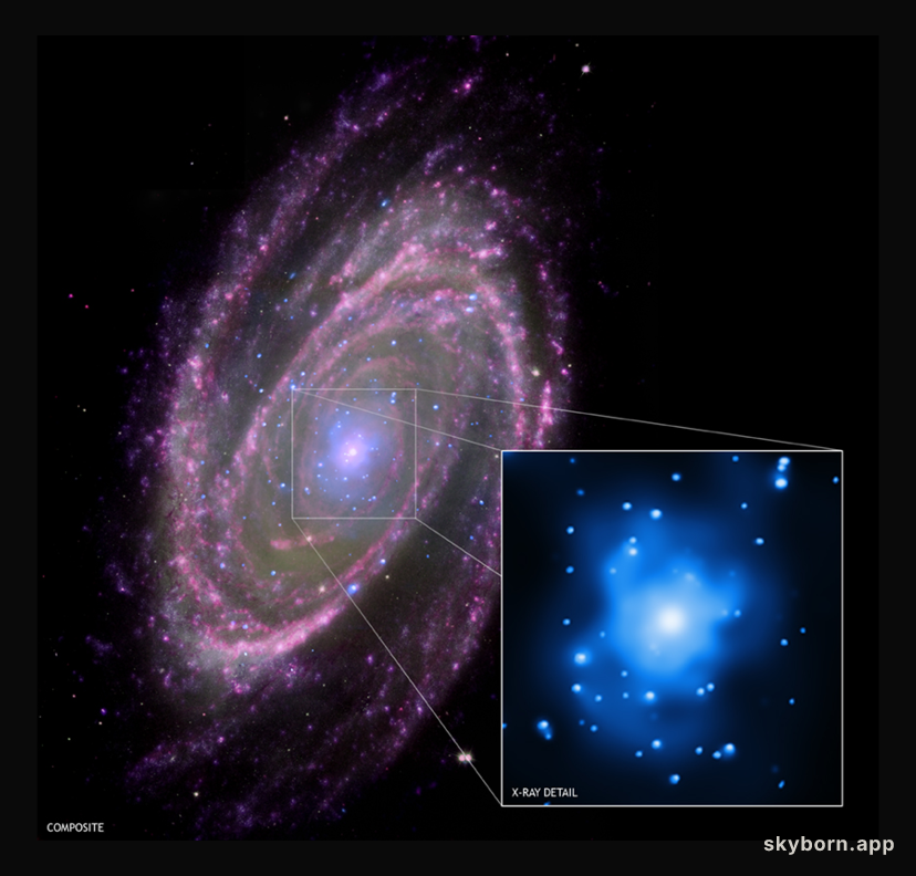 M81: Feeding a Black Hole