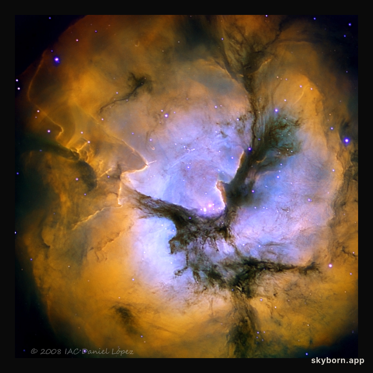 In the Center of the Trifid Nebula