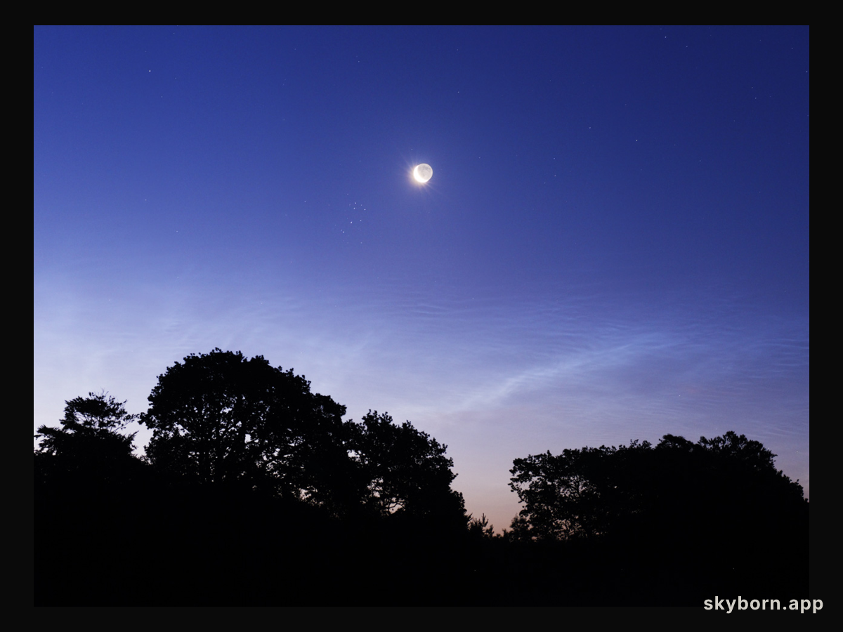 Night Shinings