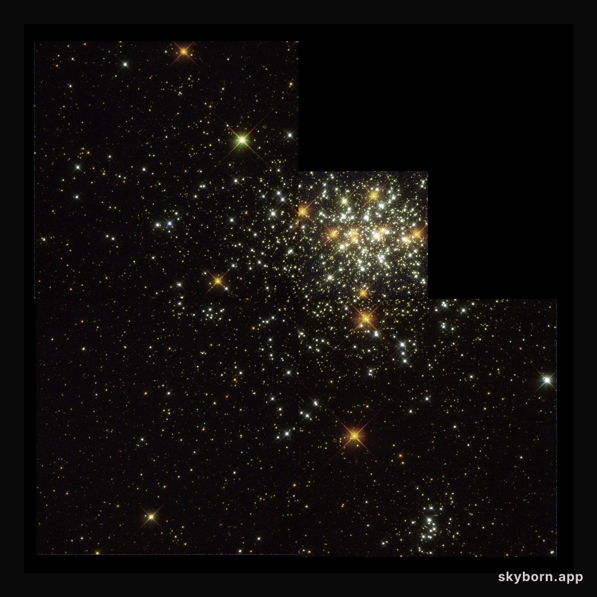 NGC 1818: A Young Globular Cluster