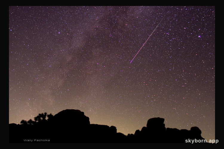 Perseid Trail