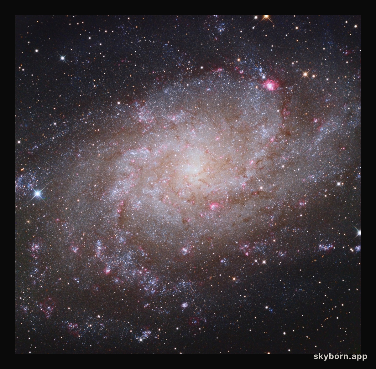 M33: Triangulum Galaxy